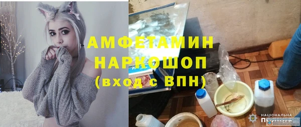 мдпв Верея