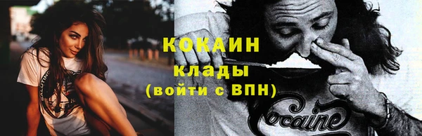 прущие грибы Волосово