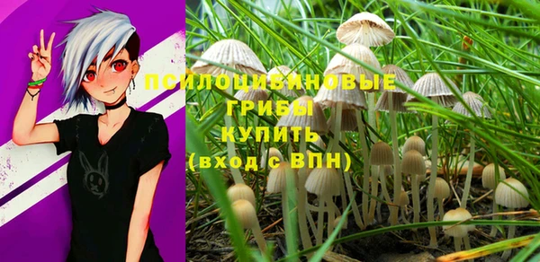 эйфоретик Богородск