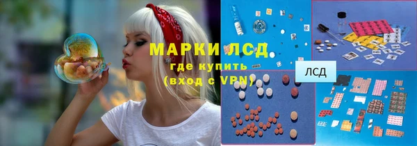 мдпв Верея