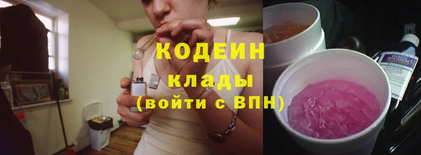 прущие грибы Волосово