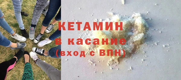 индика Верхний Тагил