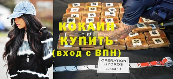 прущие грибы Волосово