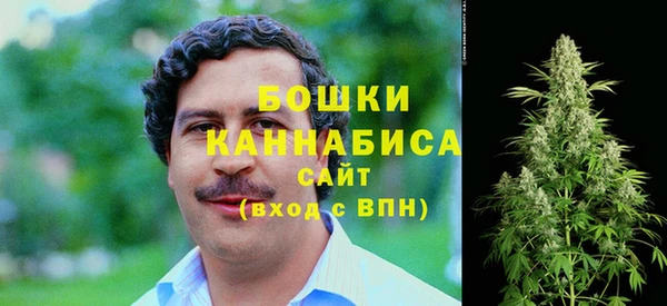 мдпв Верея
