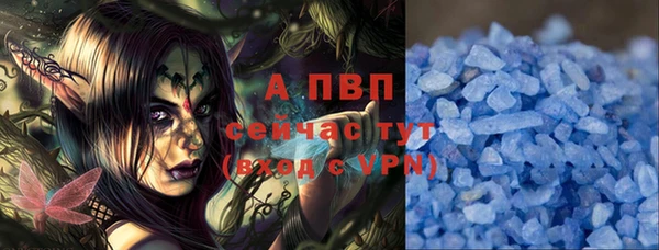 индика Верхний Тагил