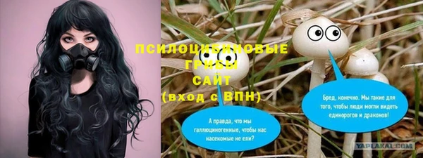 сатива Тихвин