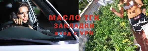 индика Верхний Тагил